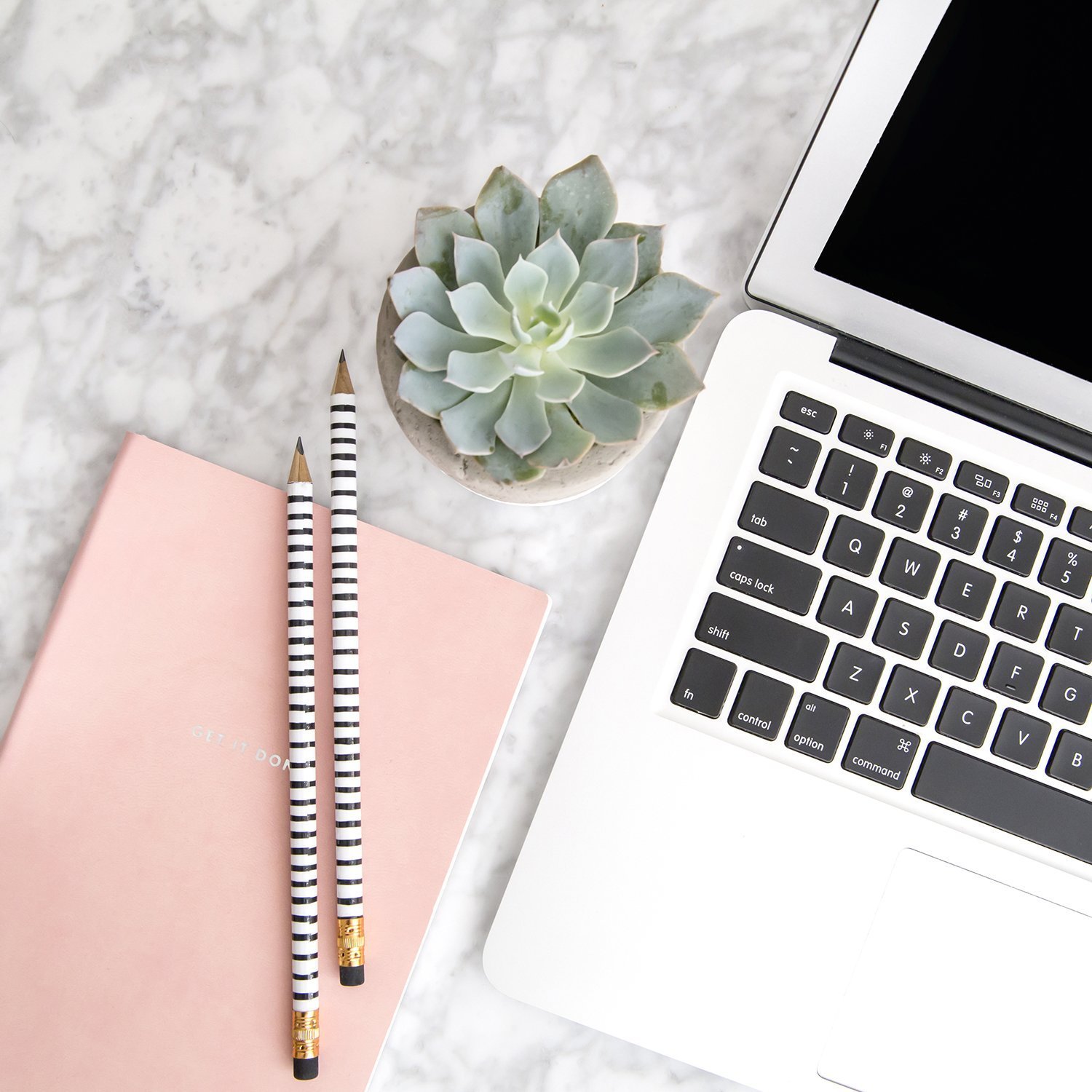 a desk with a laptop, notebook, and a succulent plant.