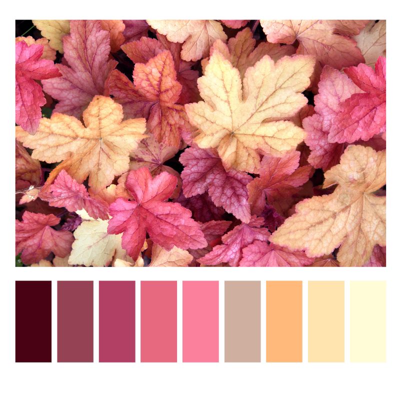 A visually appealing website with a color palette inspired by autumn leaves.