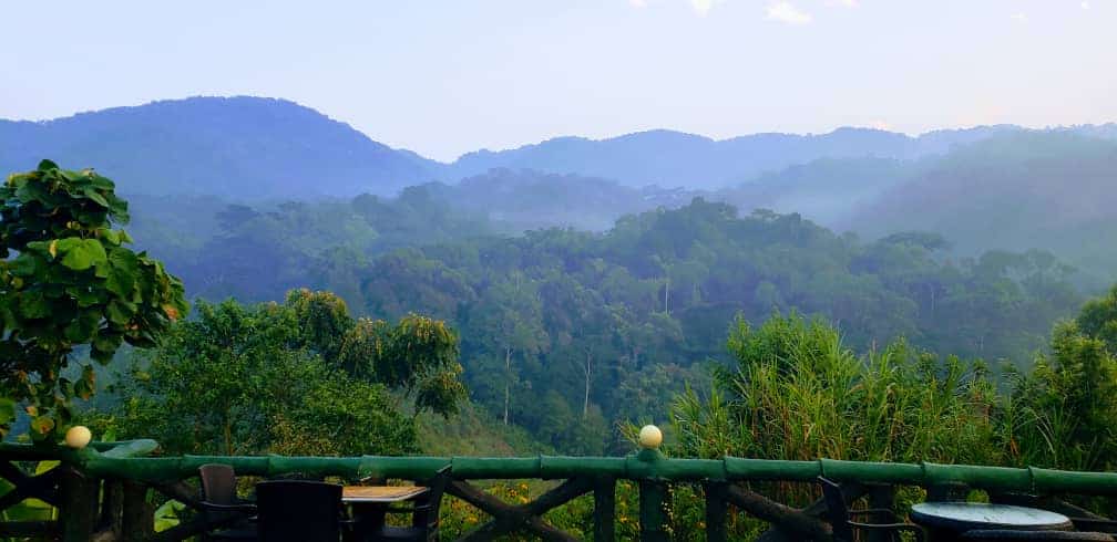 A scenic view of lush green hills under a hazy sky, reminiscent of what you might find when going to Uganda, with a wooden railing and seating area in the foreground.