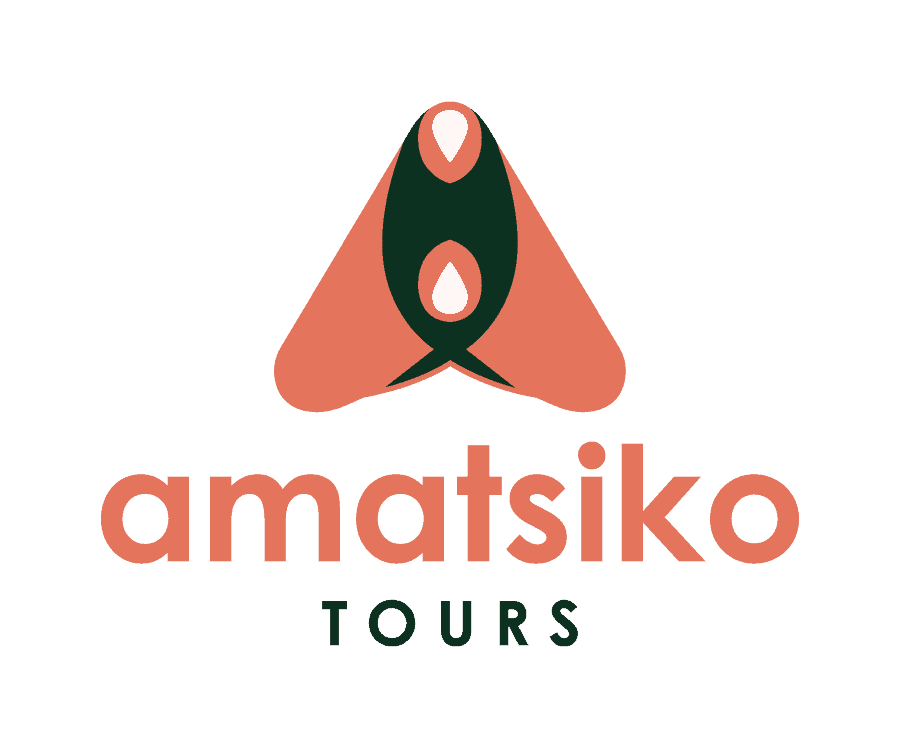 Logo for Amatsiko Tours featuring a stylized graphic with orange and green shapes above the bold "amatsiko TOURS" text, perfectly capturing the adventurous spirit of Amatsiko Tours.